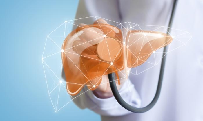 韓國不進人保肝蔘