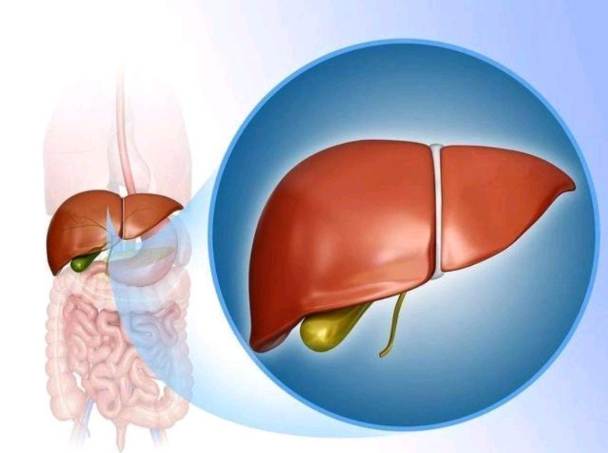 肝硬化腹水治療