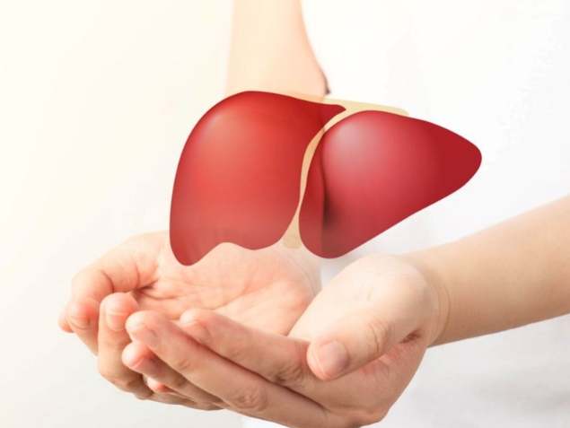 C 肝 指數 過 高