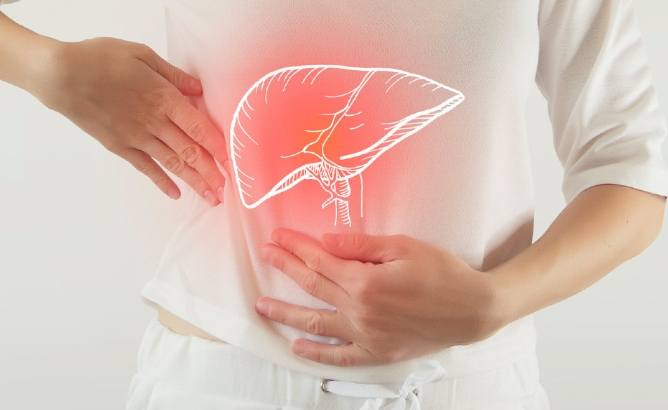 肝功能指數低 肝功能指數低