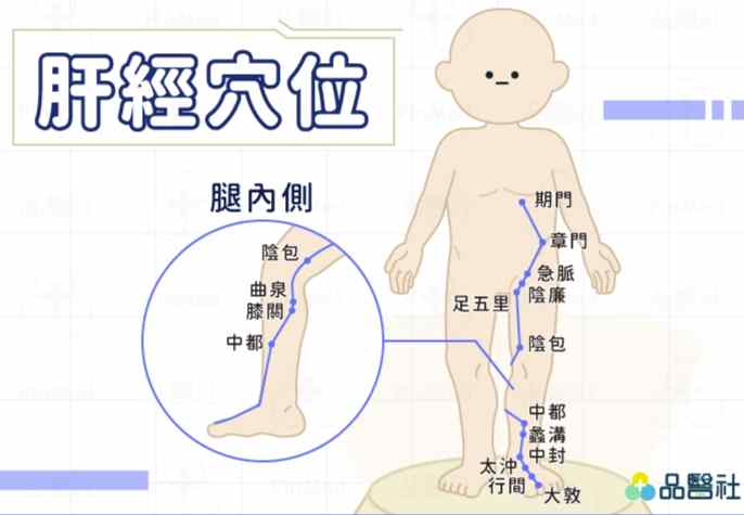 肝經運行 肝經運行