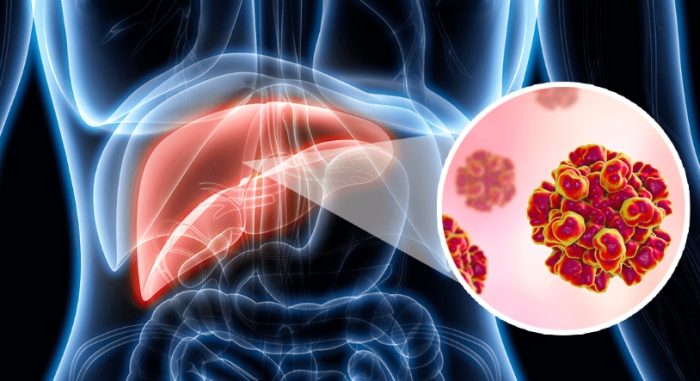 肝功能指數 肝功能指數