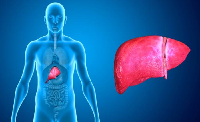 肝臟黑點 肝臟黑點