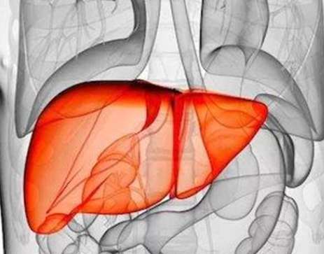 肝結節治療 肝結節治療