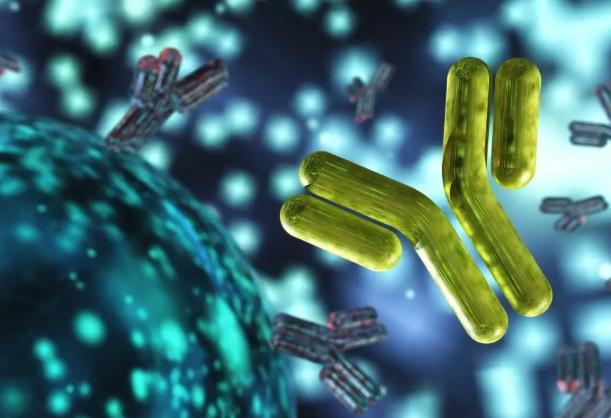 B 肝 e 抗原 陰性