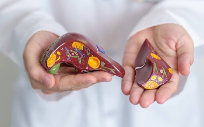 B 肝 表面 抗原 陽性