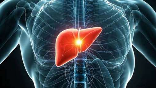 肝功能檢查準備