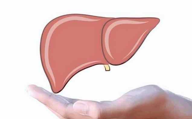 降低肝指數方法 降低肝指數方法
