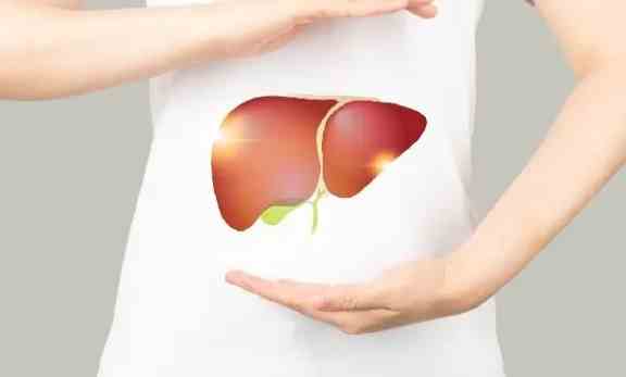 甲型肝炎傳播 甲型肝炎傳播