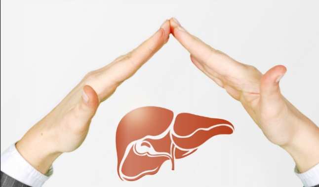 改善脂肪肝方法