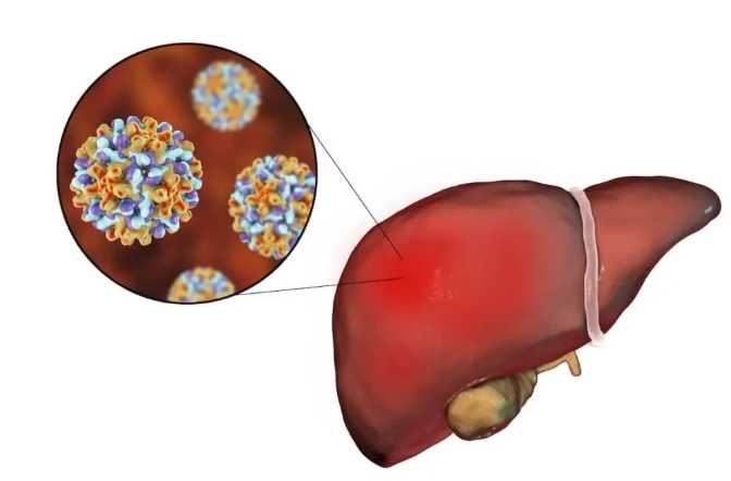 B型肝炎自費疫苗