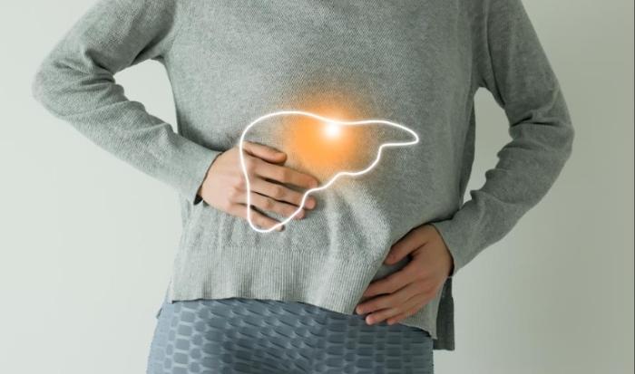 肝指數過高飲食