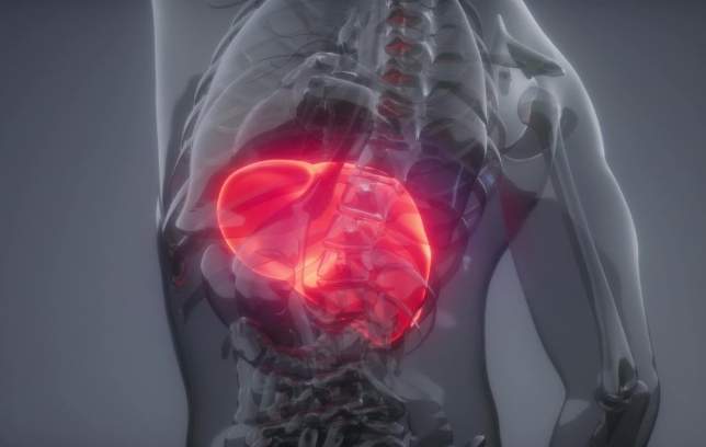 輕微脂肪肝症狀