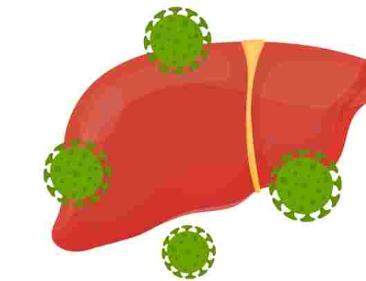 B肝带原 肝癌 风险 B肝带原 肝癌 风险