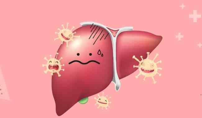 C型肝炎抗体阴性