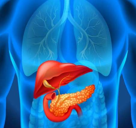 胰臟癌肝轉移症狀