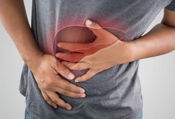 肝臟功能指數正常值