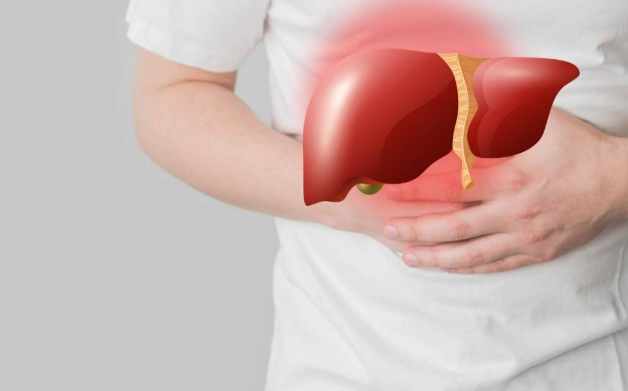 肝功能指數 肝功能指數