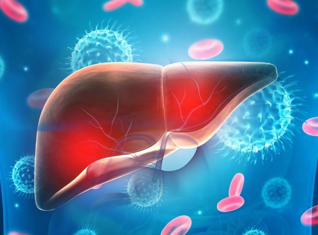 肝臟修復