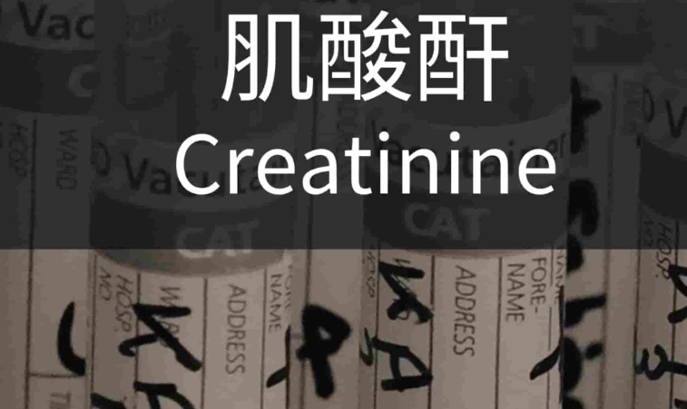 肌酸酐下降原因 肌酸酐下降原因
