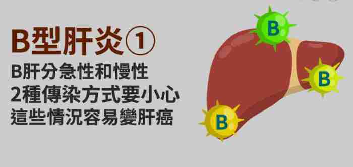 b肝c肝