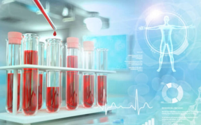 兒童肌酸酐偏低