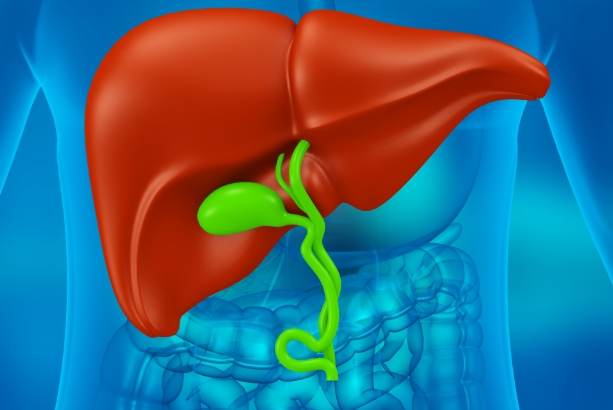 肝胆排毒吃什么