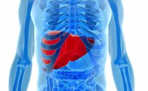 肝不好有什麼症狀