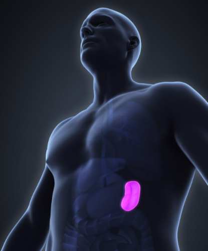 脾臟腫大拉肚子