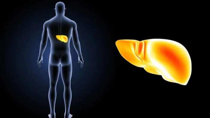 長期口臭恐是肝衰竭