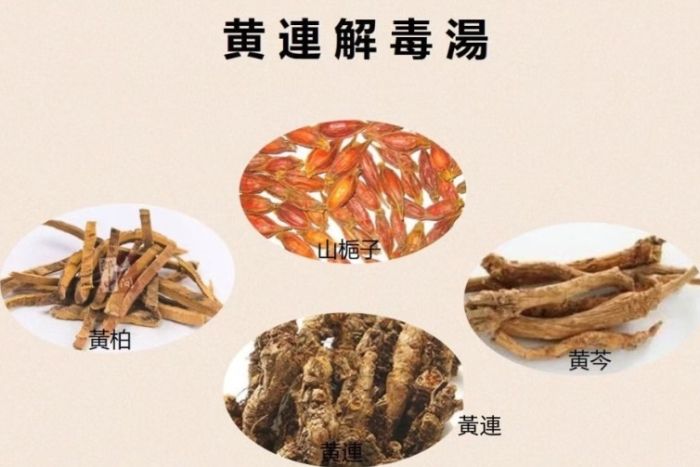 黃連解毒湯對肝