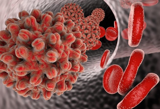 B 型 肝炎 核心 抗體 陽性