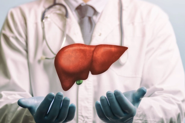 肝可以再生嗎
